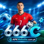 666C Game Pakistan