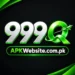 999Q Game