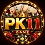 PK11 Game