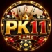 PK11 Game
