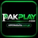 PAKPLAY Game